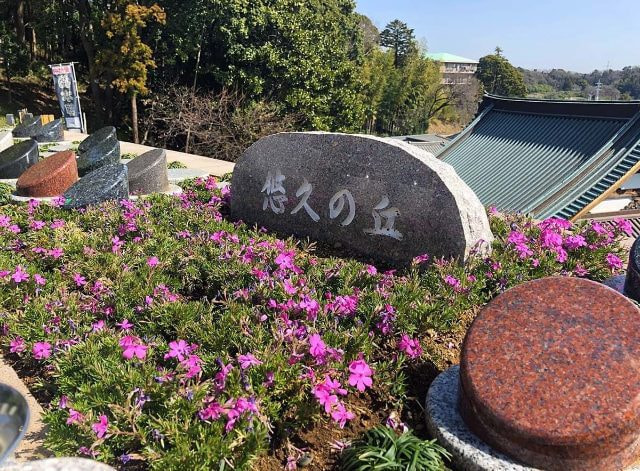 いずみの丘樹木葬悠久の丘